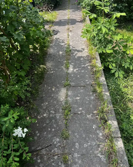 Gartenweg vorher mit Unkraut in den Fugen