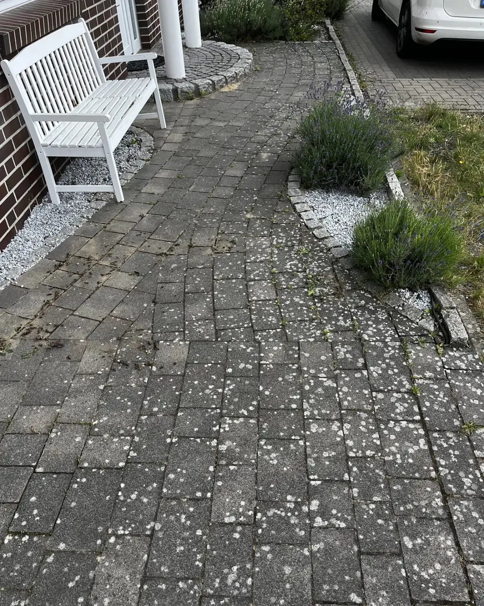 Pflasterweg am Haus vorher, verschmutzt
