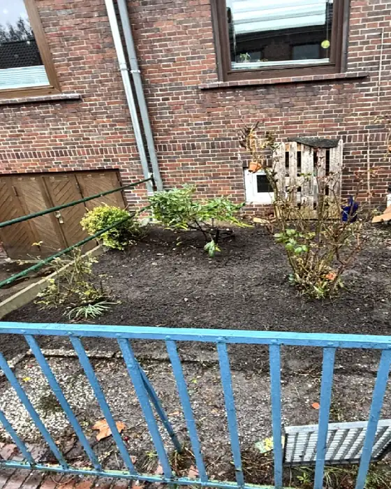 Vorgarten an der Straße nachher, aufgeräumt