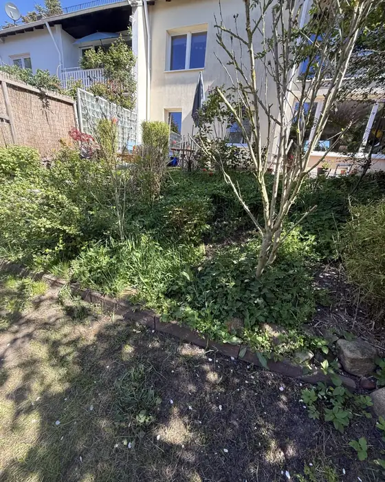 Garten hinterm Haus vorher, Beete zugewachsen